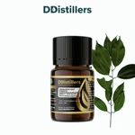 Cinnamon Leaf Korintje / Daun Kayu Manis Kerinci Essential Oil Pure 100%, 2-10ML GS