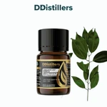Cinnamon Leaf Korintje / Daun Kayu Manis Kerinci Essential Oil Pure 100%, 2-10ML GS