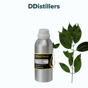 Cinnamon Leaf Korintje / Daun Kayu Manis Kerinci Essential Oil Pure 100%, 500ML-1L HDPE/SS