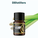 Citronella (Ceylon) / Sereh Wangi Aster Essential Oil Pure 100%, 2-10ML GS