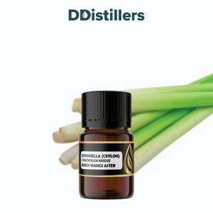 Citronella (Ceylon) / Sereh Wangi Aster Essential Oil Pure 100%, 2-10ML GS