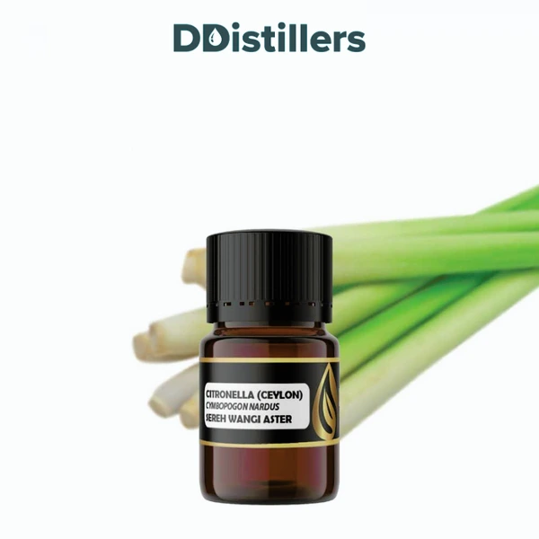 Citronella (Ceylon) / Sereh Wangi Aster Essential Oil Pure 100%, 2-10ML GS