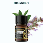Clary Sage / Langon Kleri Essential Oil Pure 100%, 2-10ML GS
