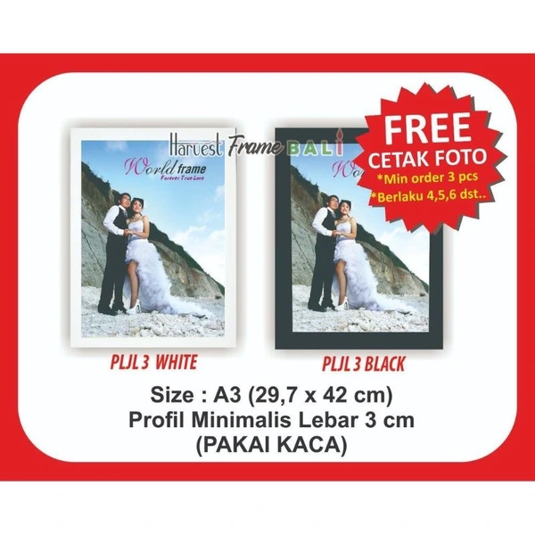 A3 Frame Foto - Pigura Photo - Bingkai Minimalis PLJL 29,7 x 42 Pakai Kaca