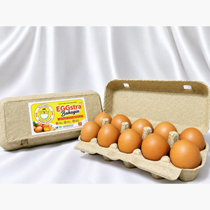 Telur Ayam Omega EGGstra Bahagia-Fresh-Cage Free