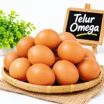 Telur Ayam Omega EGGstra Bahagia-Fresh-Cage Free