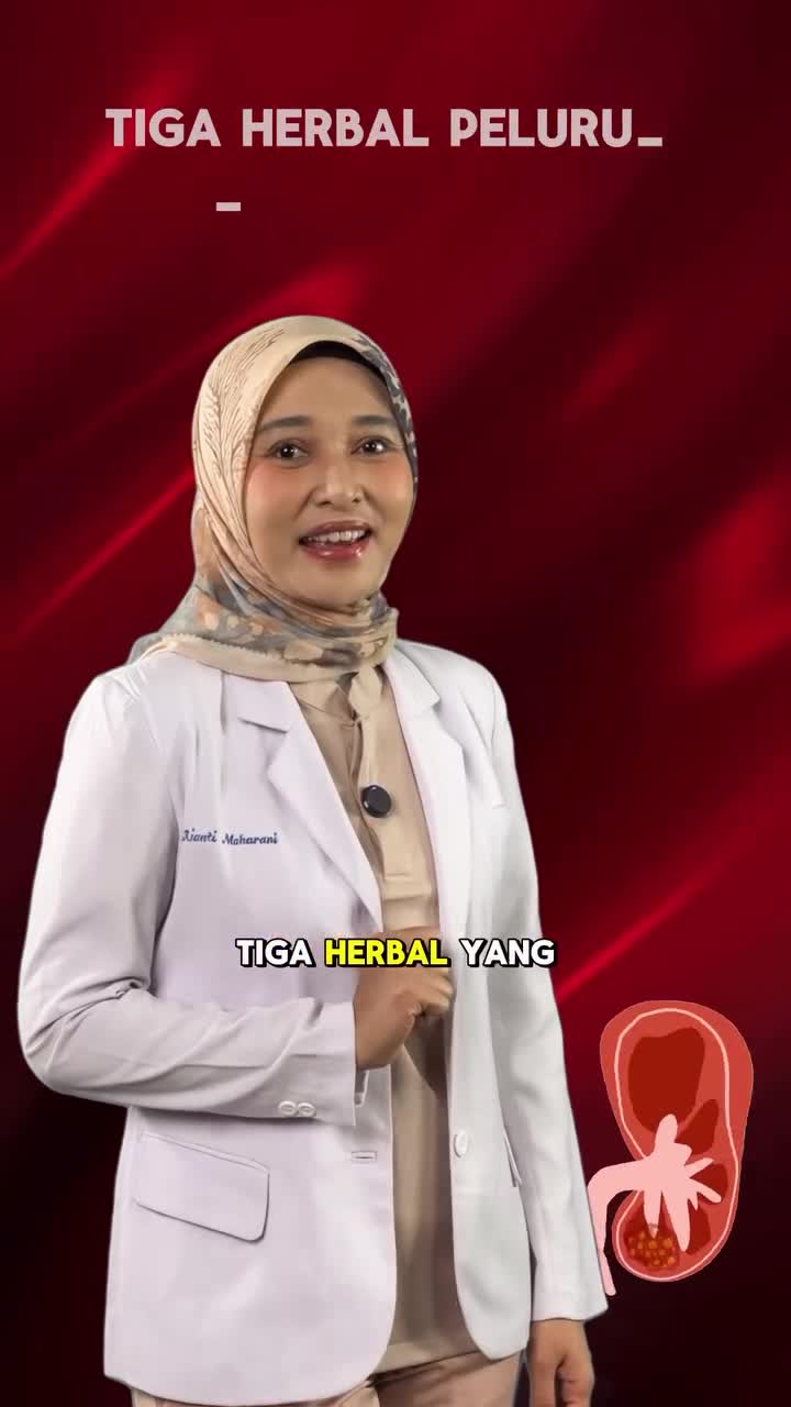 Teh Herbal 3 in 1 Peluruh Batu Ginjal/Sakit Pinggang (daun herbal Tempuyung, Kumis Kucing, Keji Beling) -30 Celup