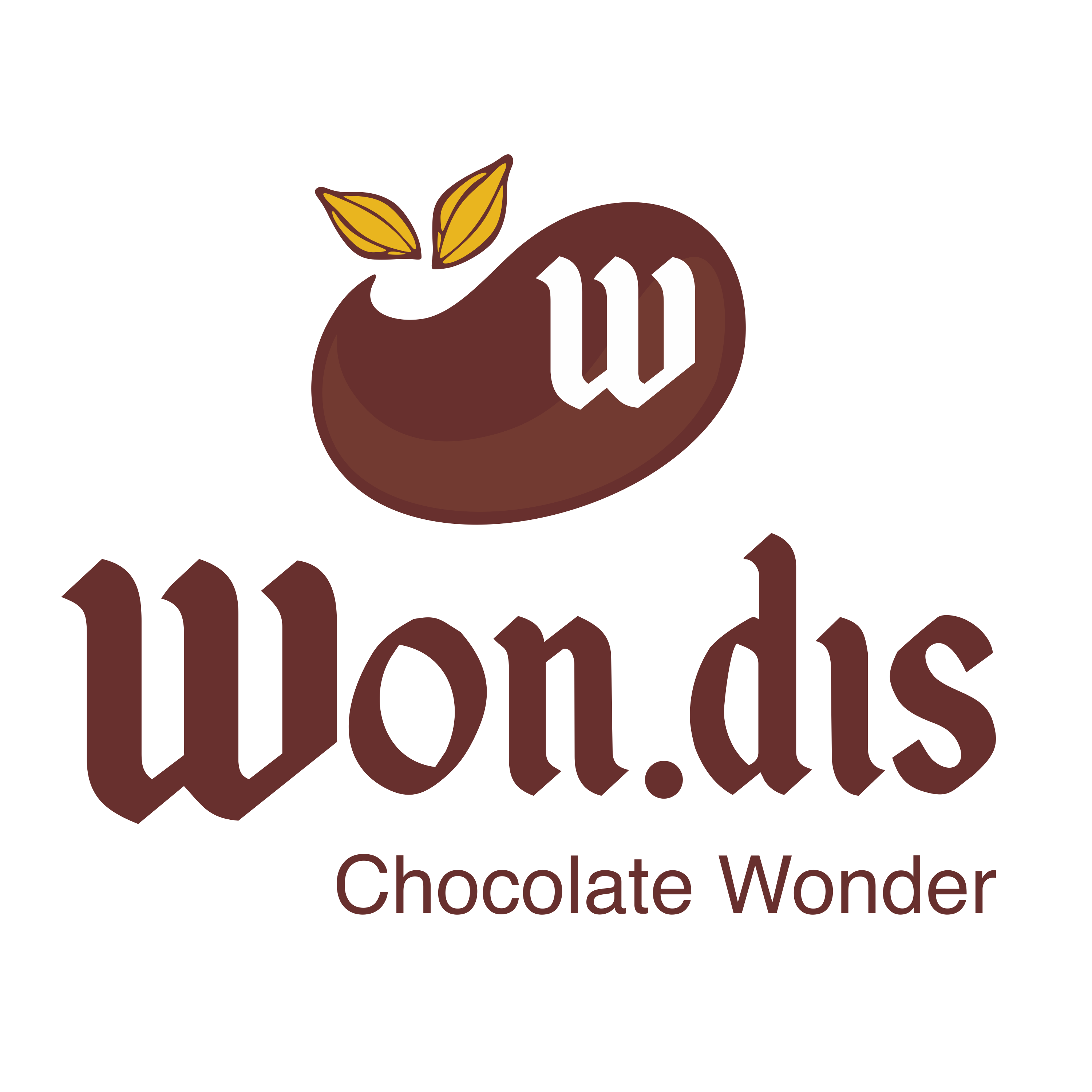 Wondis Cokelat